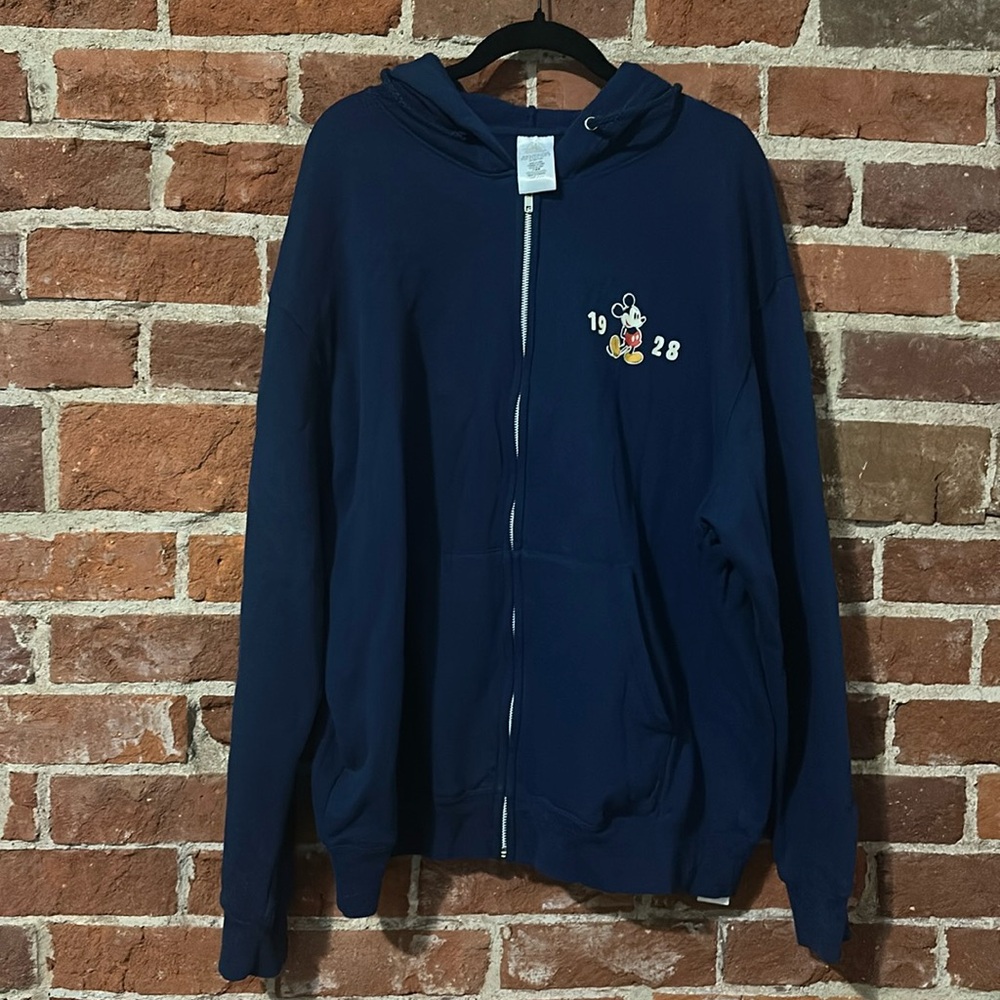 COPY - Disneyworld zip up sweatshirt